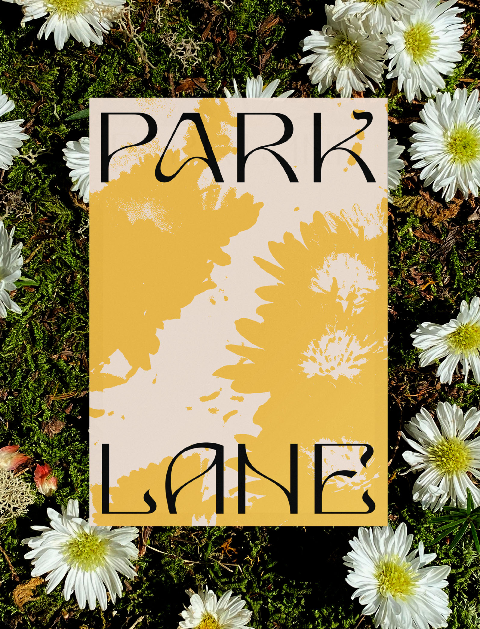 Park-Lane_Case-Study_23