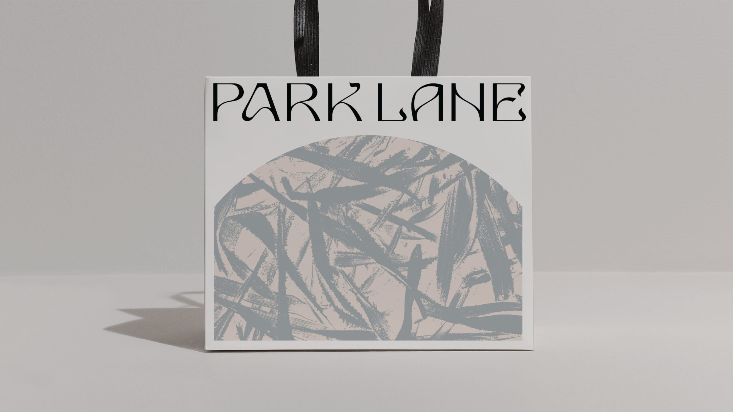 Park-Lane_Case-Study_7
