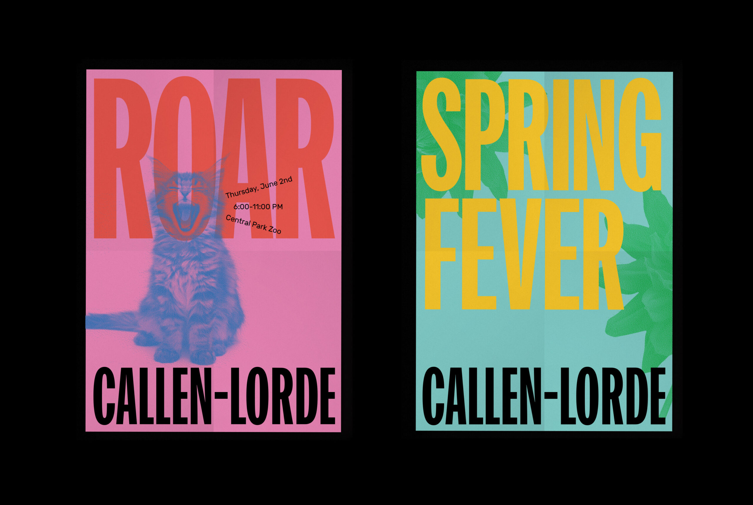 Callen-Lorde-Posters-3-1
