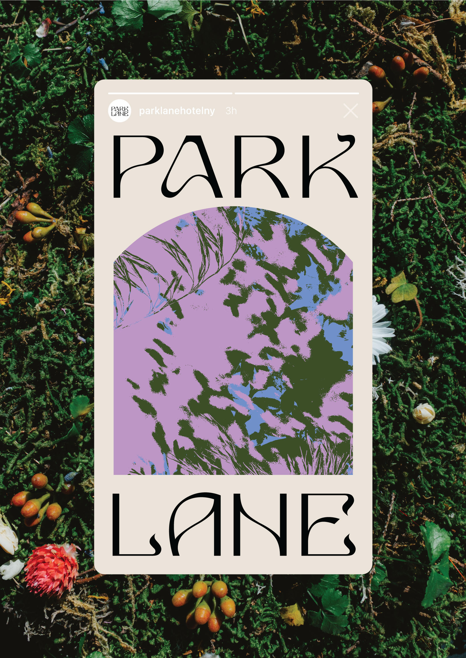 Park-Lane_Case-Study_13