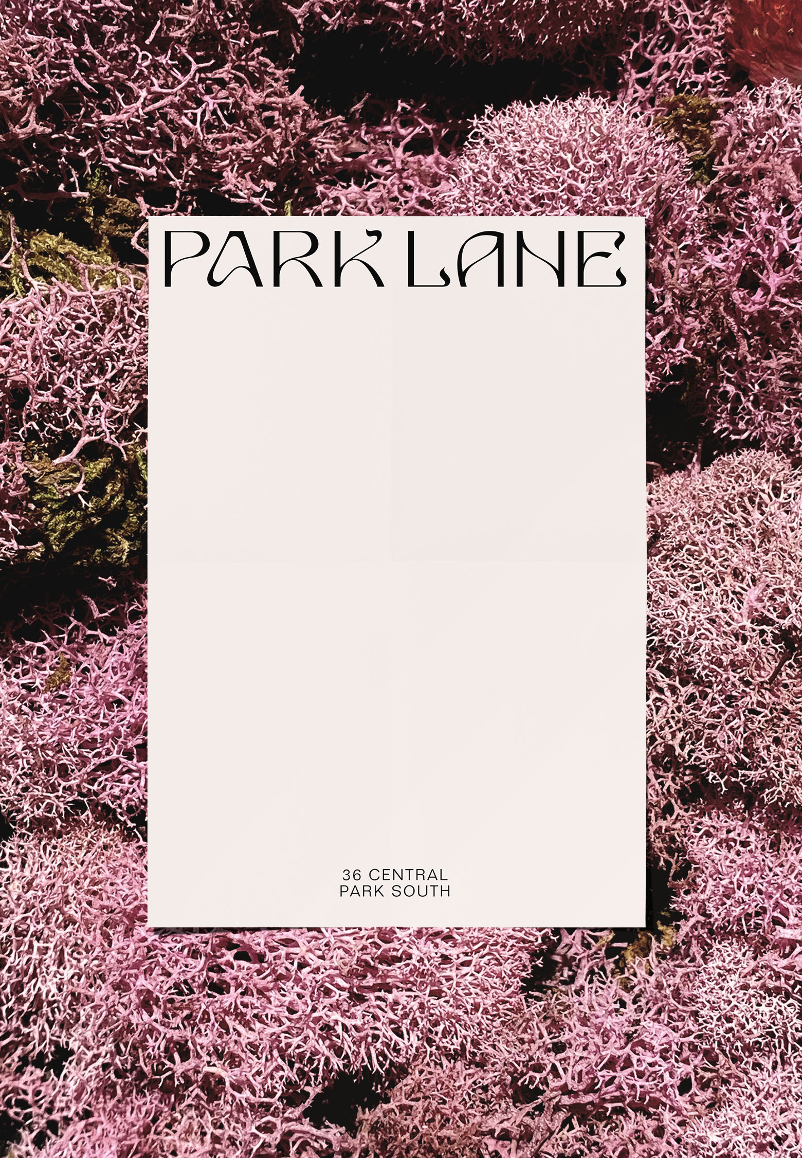 Park-Lane_Case-Study_4