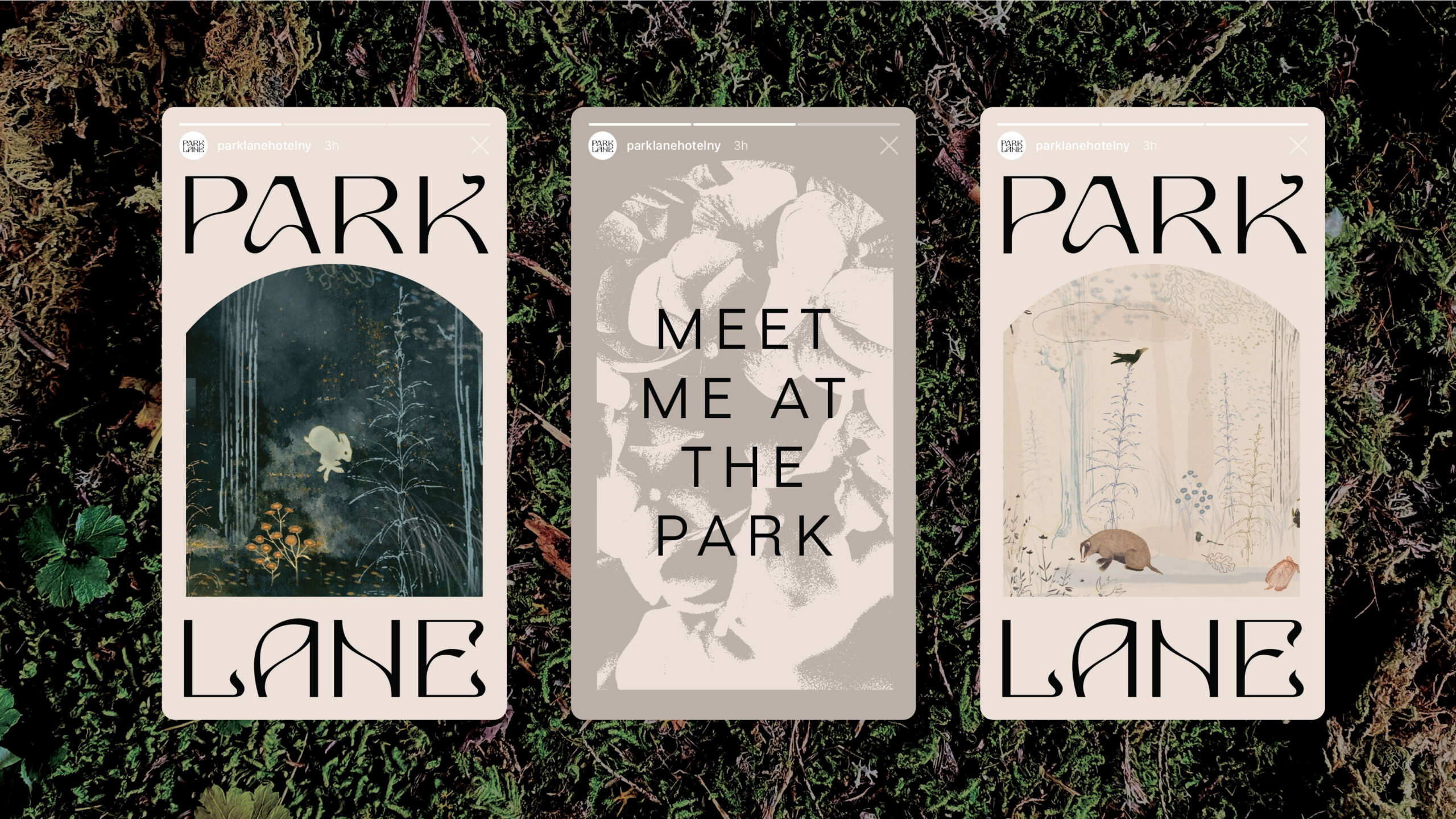 Park-Lane_Case-Study_8